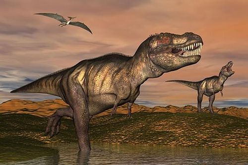 Phát hiện mộ tập thể của 'khủng long - sói' khủng khiếp nhất mọi thời đại