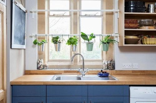5 vị trí vàng đặt cây cảnh, phúc lộc đủ đầy