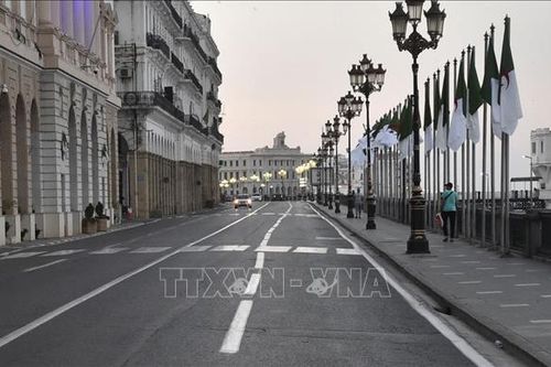 Algeria áp đặt giới nghiêm với 19/58 tỉnh thành