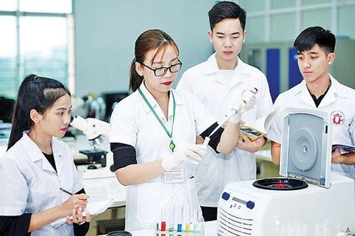 Hiện tượng di cư và hiệu ứng tích cực