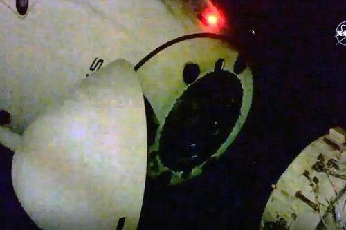 Tàu vũ trụ của SpaceX đưa 4 phi hành gia về Trái Đất thành công