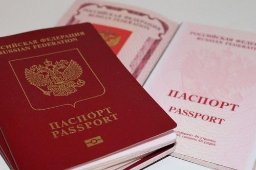 Đa số người nhập quốc tịch Nga là người Ukraine