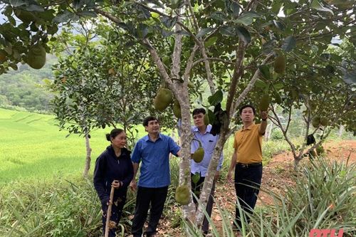 Đảng bộ huyện Quan Hóa đổi mới công tác giáo dục lý luận chính trị cho cán bộ, đảng viên