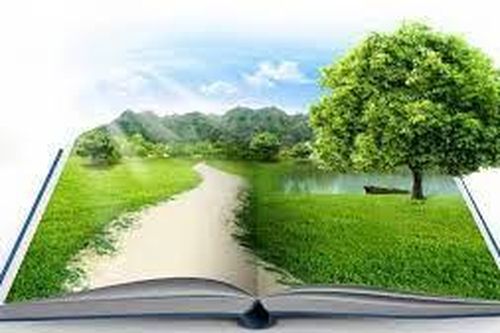 Sự cần thiết của kiểm toán môi trường và việc vận dụng kiểm toán môi trường vào Việt Nam hiện nay