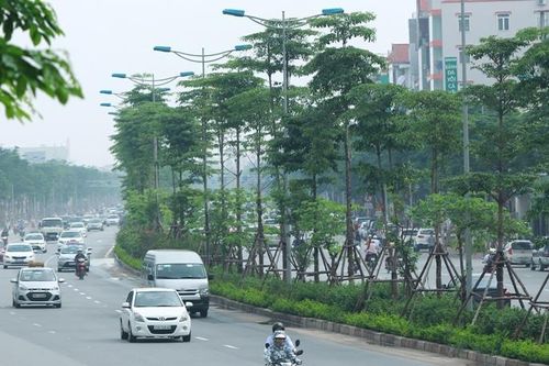 Kỳ vọng một Việt Nam xanh