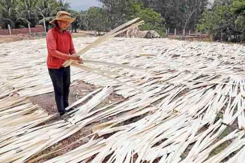 Những đồng vốn nhỏ tạo sinh kế
