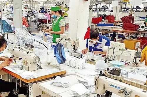 Tận dụng cơ hội từ EVFTA