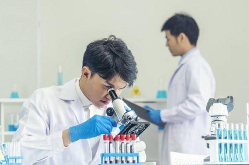 Cuộc đua đào tạo nghiên cứu sinh STEM
