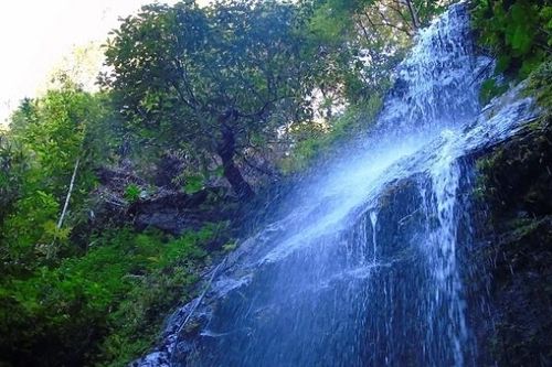 Về 'Hoa quả sơn' nơi đại ngàn Chư Mom Ray