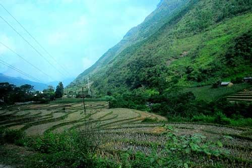 Ngắm thị trấn Đồng Văn vào mùa đẹp nhất ở Hà Giang