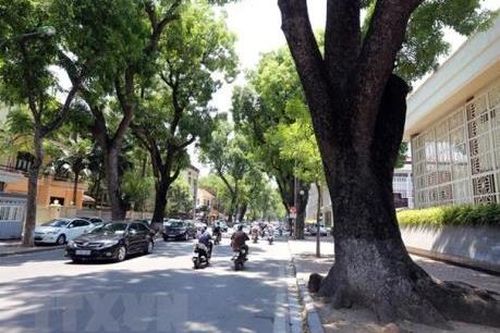 Dự báo thời tiết ngày 3/5: Trời nắng trên cả ba miền