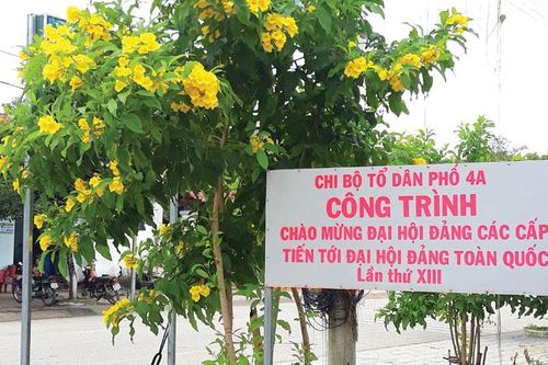 Đường hoa ông tổ trưởng tổ dân phố