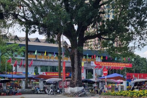 Thái Nguyên: Thêm một dự án đầu tư theo hình thức PPP phải thu hồi