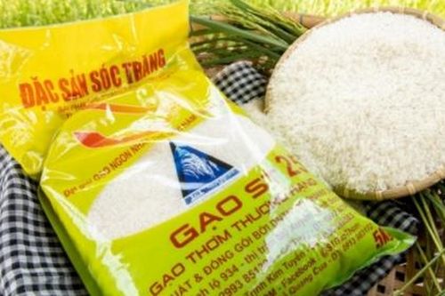 Gạo ST24, ST25 bị đăng ký nhãn hiệu ở Úc