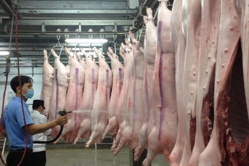 Tăng cường quản lý cơ sở giết mổ nhỏ lẻ