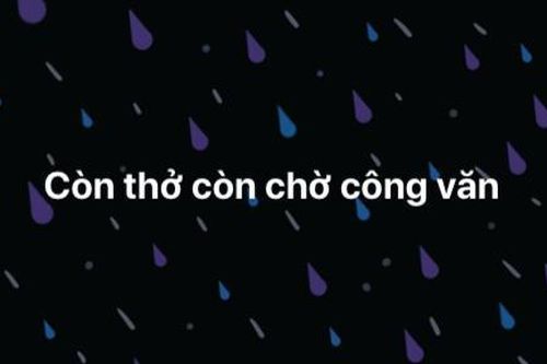 Giữa diễn biến phức tạp của dịch, bạn thuộc team 'lật tập' hay chờ công văn 'lật kèo'?