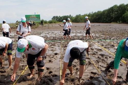 3.700 ngôi nhà an toàn cho vùng sạt lở, lũ lụt
