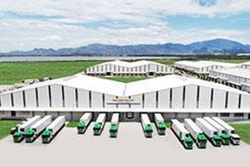 Logistics trọn gói cho nông nghiệp: THILOGI mang nông sản Việt ra thế giới