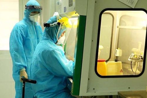 Xác nhận biến thể virus SARS-CoV-2 của Ấn Độ tại Việt Nam