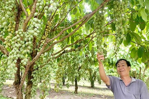 Nông thôn mới: Người dân hưởng lợi