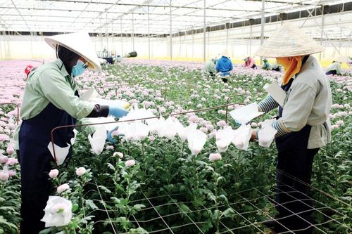 Đơn Dương: Phát huy vai trò của Đảng trong xây dựng nông thôn mới kiểu mẫu