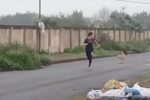 Clip: Chàng trai chạy tóe khói vì trêu chó