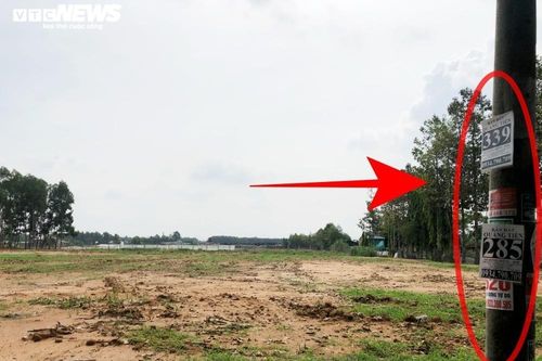 Phân lô bán nền đất nông nghiệp tràn lan ở Đồng Nai