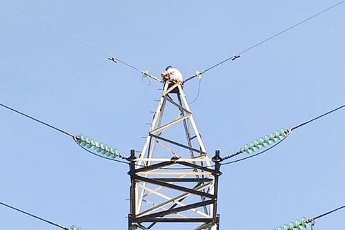 Giải cứu người phụ nữ trên cột điện cao thế ở TP Thủ Đức