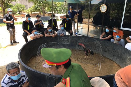 Đột kích 'trường gà', bắt quả tang 47 đối tượng đang tham gia cá cược
