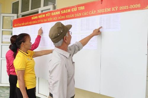 Người bị tâm thần có được ghi tên vào danh sách cử tri?