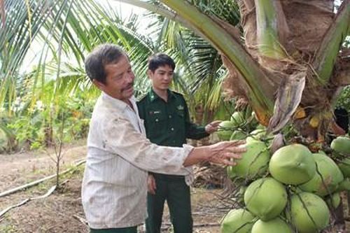 Lão nông vượt khó nơi vùng biên Đắc Lắc