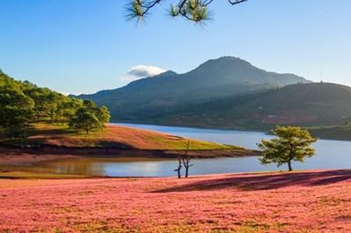 Lâm Đồng lập quy hoạch Khu du lịch quốc gia Đan Kia-Suối Vàng