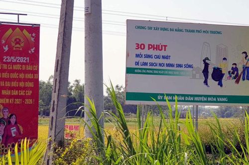 '30 phút mỗi sáng chủ nhật...'