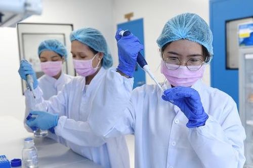 Kích hoạt lại hệ thống Bệnh viện dã chiến Điện Biên Phủ