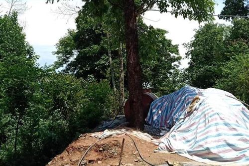 Trú mưa dưới gốc cây bị sét đánh văng xuống ta luy âm tử vong