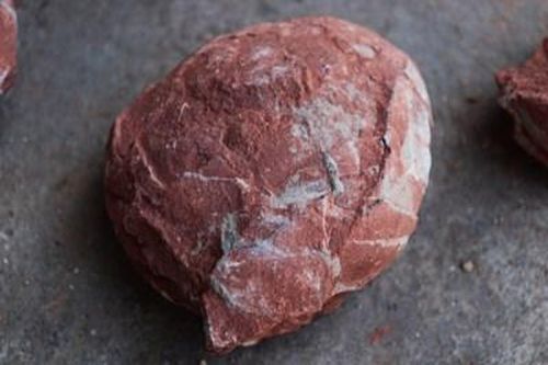 Tìm thấy hóa thạch trứng khủng long thời kỷ Phấn trắng