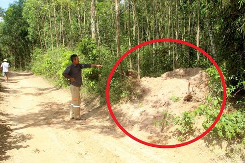 Chính quyền xã thờ ơ khi bò chết vì nhiễm dịch viêm da nổi cục