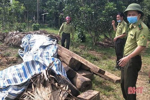 Phát hiện thêm hơn 2m3 gỗ lậu trong nhà dân ở Hương Khê