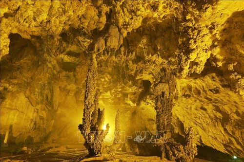Động Ngườm Ngao - vẻ đẹp kỳ thú của tỉnh Cao Bằng