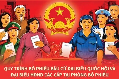 Quy trình bỏ phiếu bầu cử đại biểu Quốc hội và đại biểu HĐND các cấp