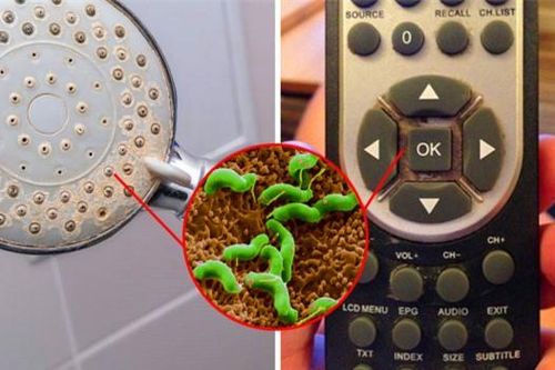 8 đồ vật trong nhà cực bẩn, là ổ vi khuẩn nhưng 99% chúng ta không bao giờ vệ sinh