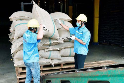 Gia Lai: Kỳ vọng xuất khẩu tăng trưởng cao