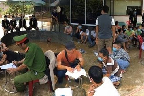 Đột kích trường gà trong Village, bắt 47 đối tượng