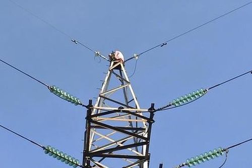 Người phụ nữ trèo lên cột điện cao thế ở Sài Gòn, nói lảm nhảm, cố thủ