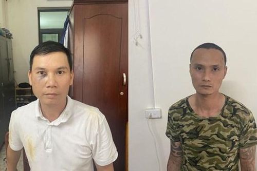 Quảng Ninh: Khởi tố hai đối tượng thực hiện hàng loạt vụ trộm cây cảnh