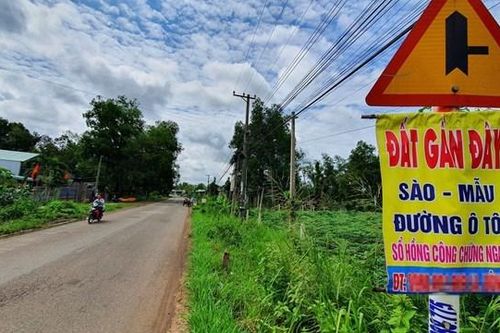 Nhìn lại cơn sốt đất: Nhà đầu tư cần lưu ý gì khi xuống tiền?