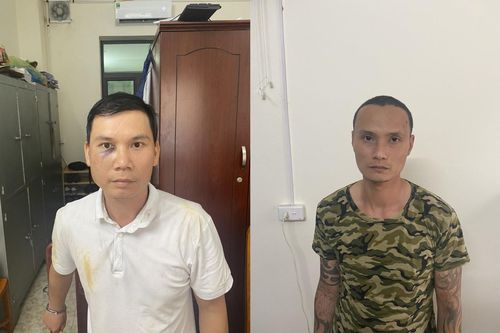 Hai đối tượng có tiền án thực hiện hàng loạt vụ trộm cắp cây cảnh