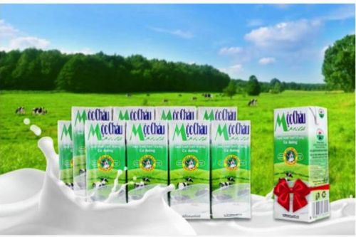 Lợi nhuận quý 1 của GTNfoods giảm 9% do dồn tiền tăng sở hữu tại Mộc Châu Milk