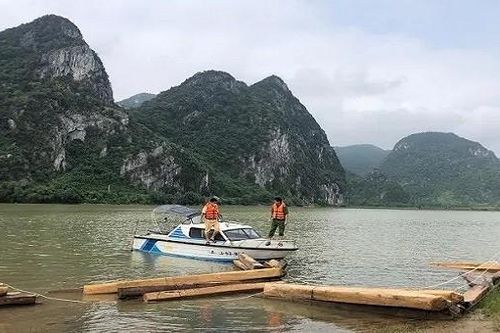 Bắt giữ thuyền chở gỗ lậu trên tuyến sông Gianh
