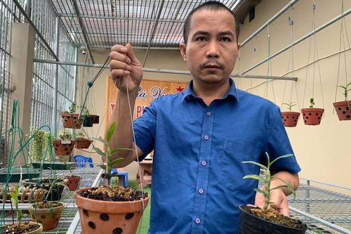 Buôn lan đột biến, người đàn ông bị 5 nhà vườn lừa đảo gần 10 tỷ đồng